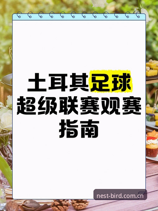 资深球迷分享世界杯观赛体验：约旦土耳其球迷遭遇签证困境，小鸟平台登录助力赛事追踪