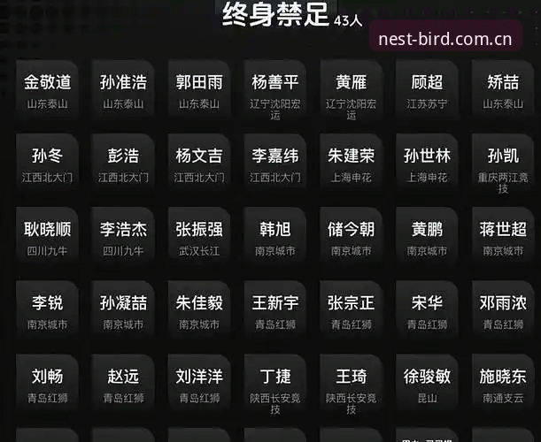 第三批禁足名单解读：足球反腐实用指南，透过小鸟平台了解行业整顿真相